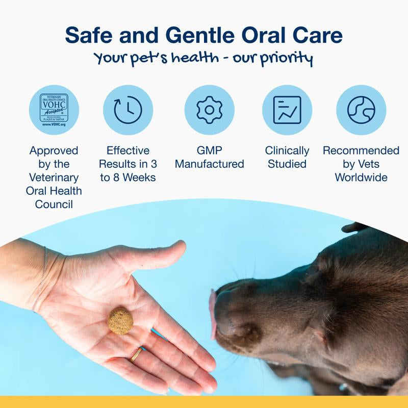 KelpKiss Dental Chews