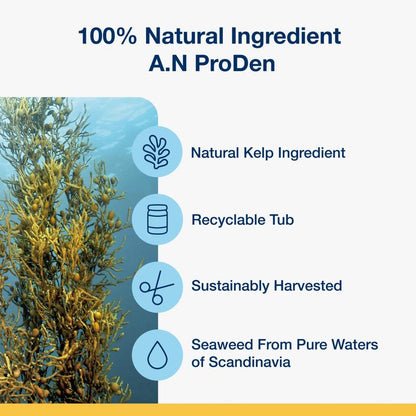 KelpKiss Dental Chews